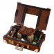 Конструктор LEGO Harry Potter 75952 Чемодан Ньюта Саламандера в Саратове