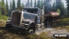 Игра Spintires: MudRunner American Wilds [Nintendo Switch, русские субтитры] в Саратове